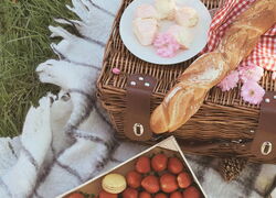 AWO erleben Einladung zum Mitbringpicknick