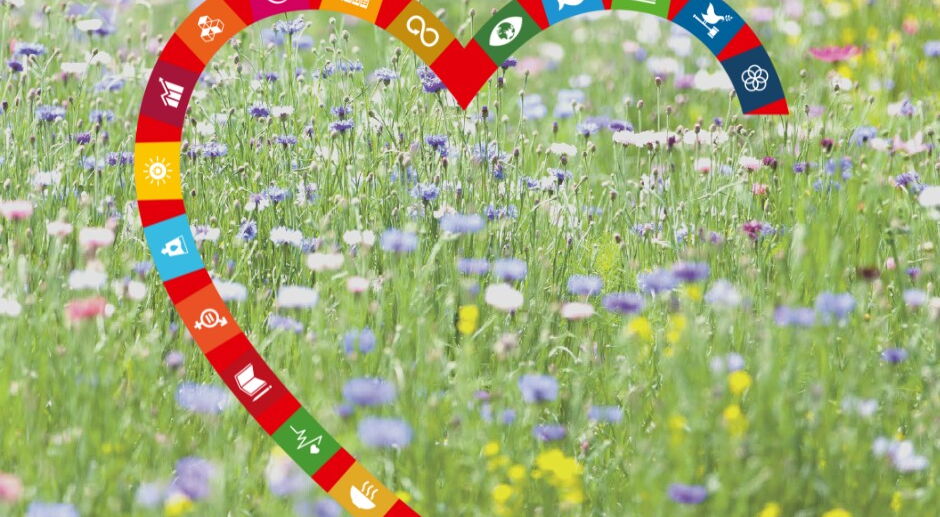 Stellungnahme des AWO Bezirksverband Potsdam e.V.