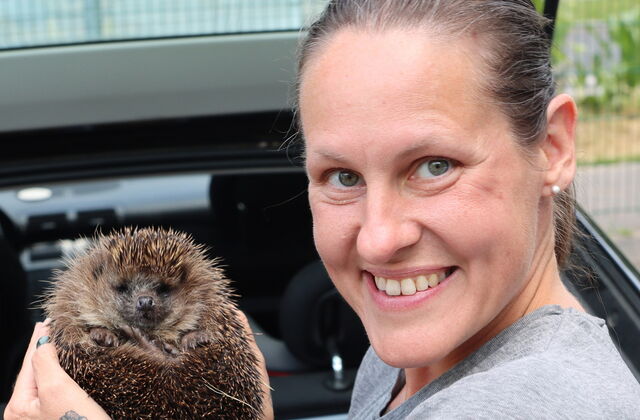 Eine Frau hält einen Igel in beiden Händen hoch. Sie steht seitlich vor einem Kofferraum in dem eine Kiste steht. Sie lächelt fröhlich in die Kamera.