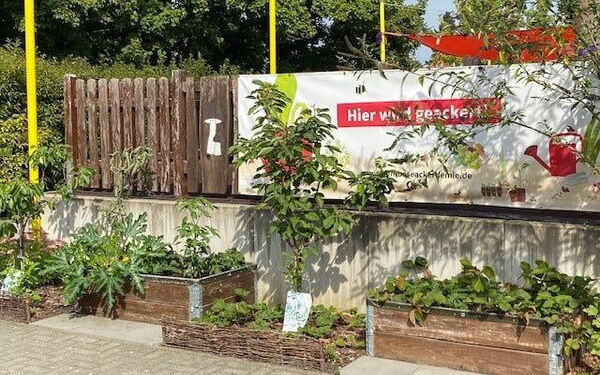 Bepflanzte Blumenkübel an einem Weg.