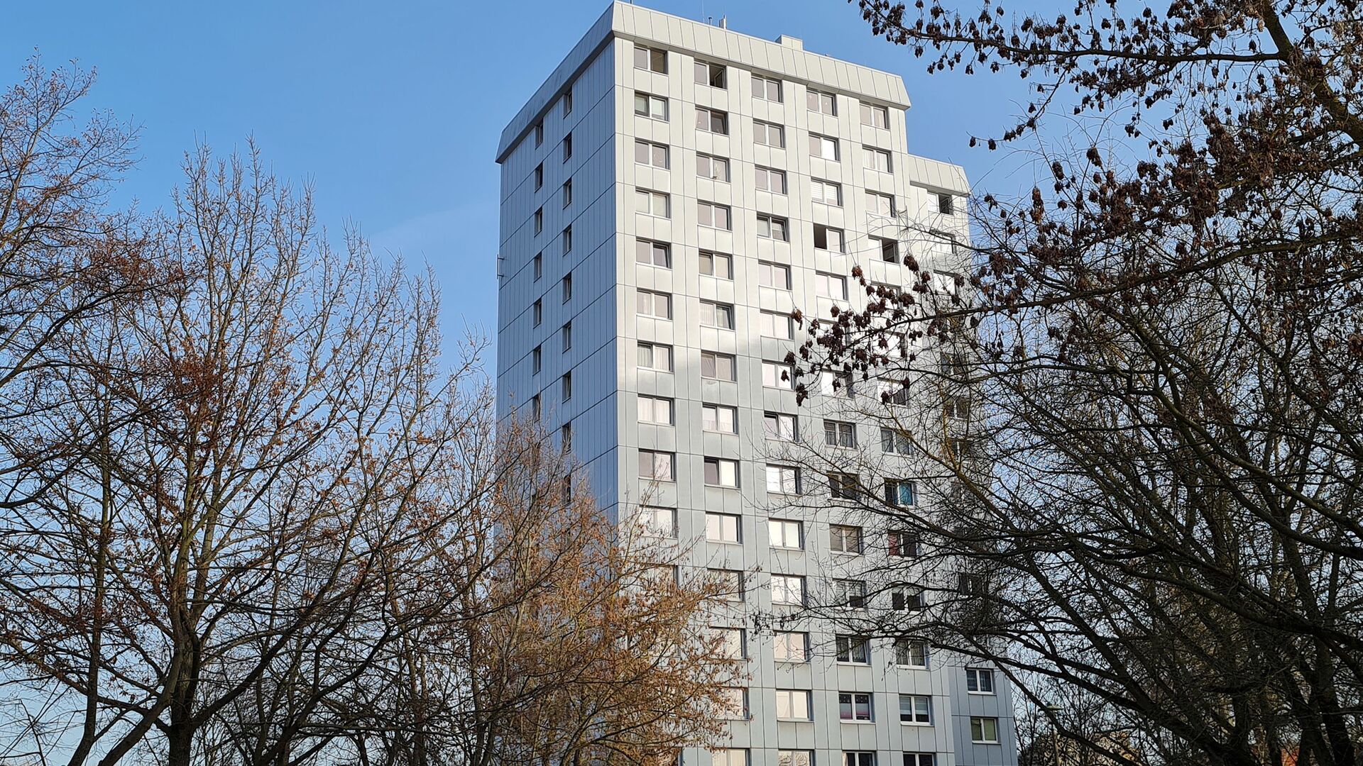 Hochhaus. Kahle Bäume, blauer wolkenloser Himmel.