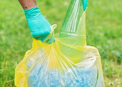 Cleanupday