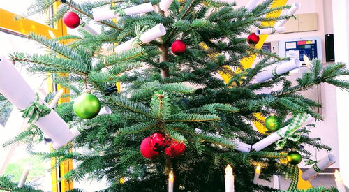 Tannenbaum mit grünen, roten Kugeln und Lichterkette geschmückt. An den zweigen hängen auch gerollte Zettel mit Schleifen drum.