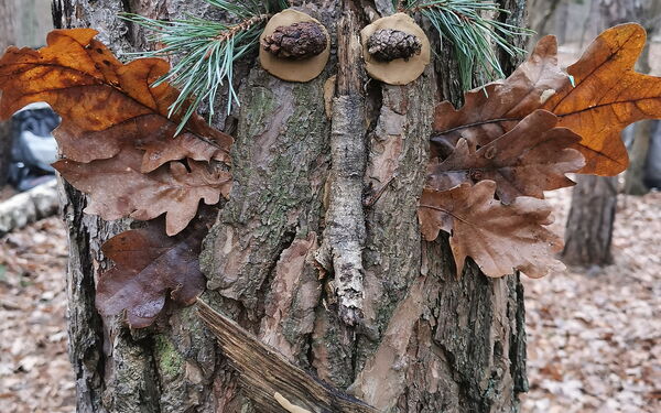 Ein Baum im Wald mit Gesicht aus Naturmaterialen.