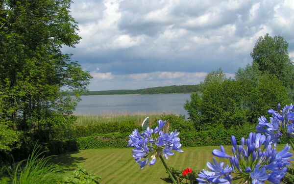 Blick auf einen See. Viel grün Wiese, Büsche, Streucher, auch am anderen Ufer gegenüber ist es grün. Im Vordergrund Blumenblüten,