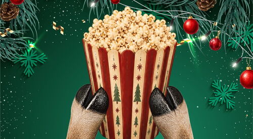 grüner weihnachtlicher Hintergrund. In die Mitte wird eine große Popcorn-Tüte gehalten.