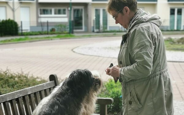 Besuchshund sitzt auf einer Bank vor den Gebäude. Eine Frau steht direkt vor ihm.
