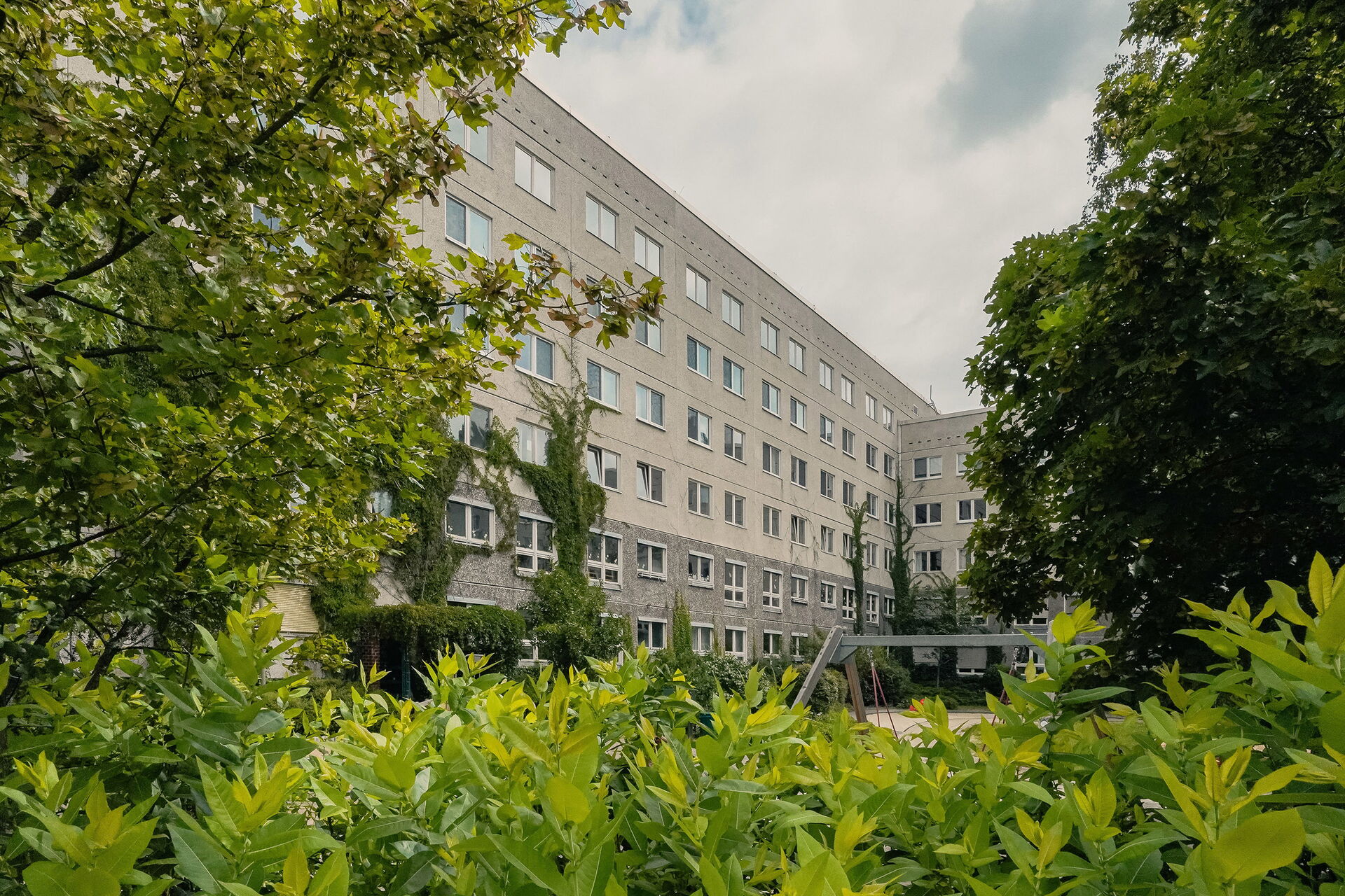 Blick zwischen Bäumen und Büschen hindurch auf ein Gebäde. Mehrstöckig, grau trist, An der Fassade wachsen Pflanzen empor.