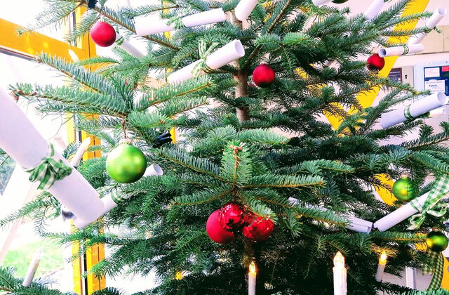 Tannenbaum mit grünen, roten Kugeln und Lichterkette geschmückt. An den zweigen hängen auch gerollte Zettel mit Schleifen drum.