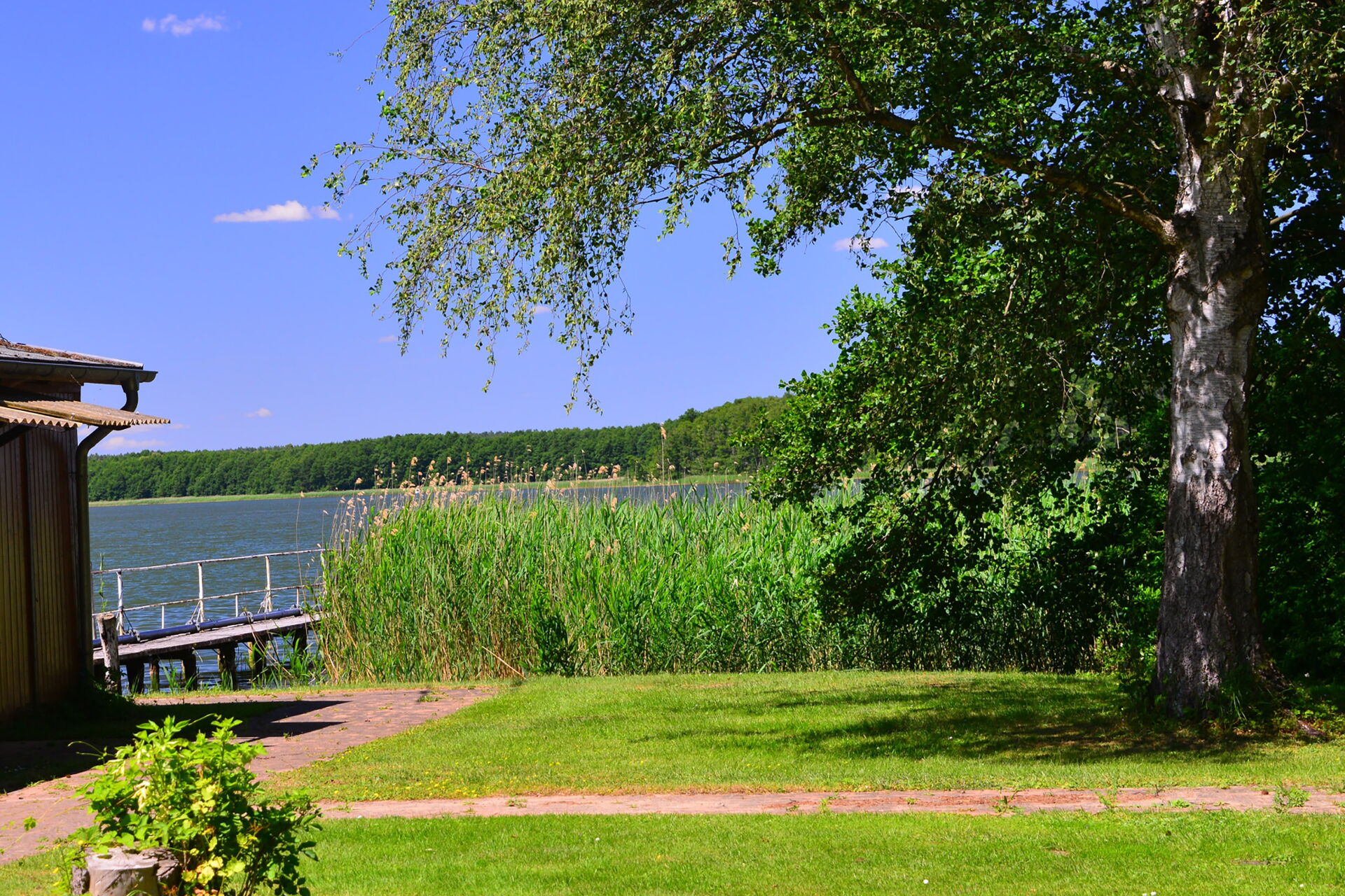 Blick auf einen See mit Steg. Der Uferbereich am See mit Rasen und Gehweg. Schilf am Wasser.