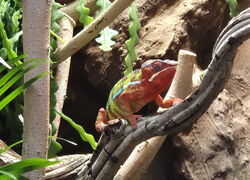 Familienausflug in die Biosphäre