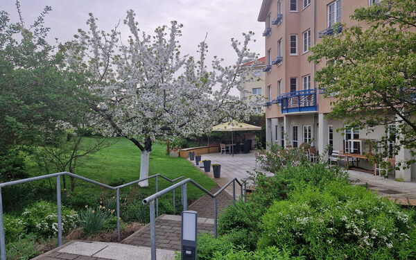 Eine Treppe führt zur großen Terrasse. Viel Grün, Büsche, Bäume, Rasen.