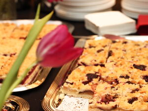 Blechkuchen und eine Tulpe.