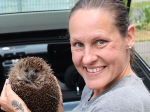 Eine Frau hält einen Igel in beiden Händen hoch. Sie steht seitlich vor einem Kofferraum in dem eine Kiste steht. Sie lächelt fröhlich in die Kamera.