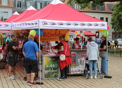 Wetterfestes Miteinander beim AWOFamilienfest in Werder