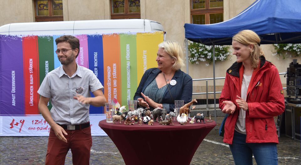 Flusspferde im Regen