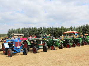 Ein blauer und viele grüne Traktoren auf einem Feld.