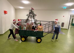 Mehr als 1000 Geschenke durch AWO Wunschbaumaktion