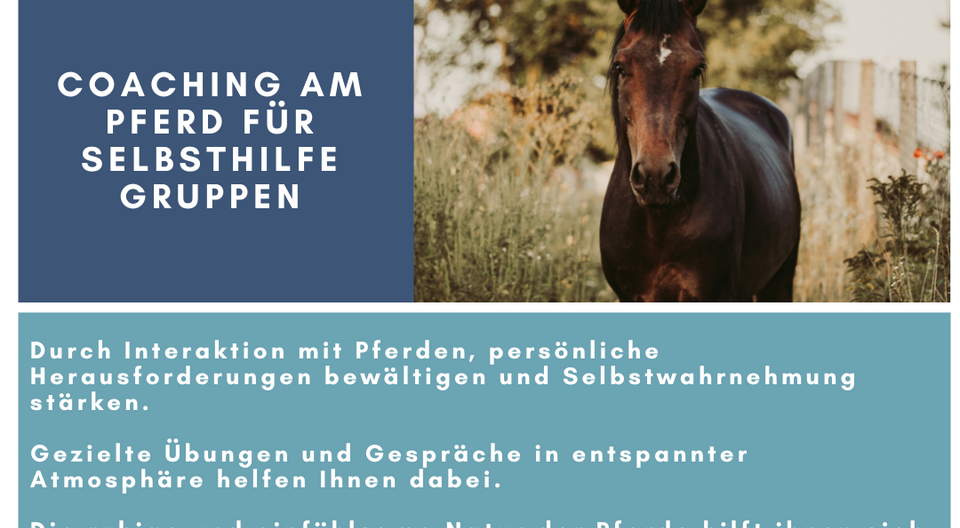 Coaching am Pferd für Selbsthilfegruppen