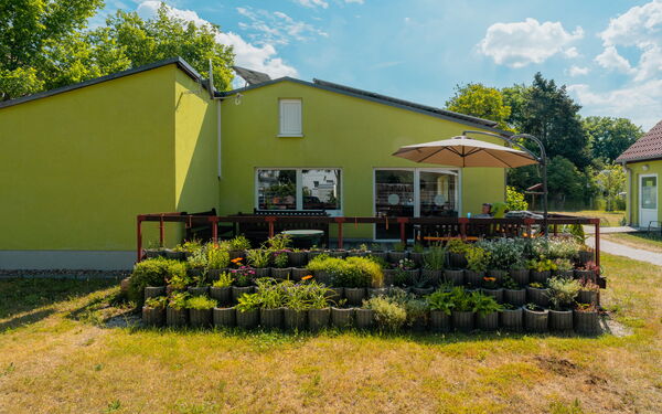 Seitenansicht von einem hellgrünen Haus mit einer Terrasse und Sonnenschirm. Viel Pflanzen davor.