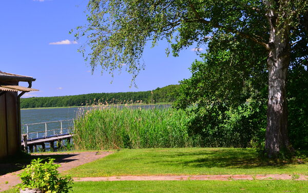 Blick auf einen See mit Steg. Der Uferbereich am See mit Rasen und Gehweg. Schilf am Wasser.