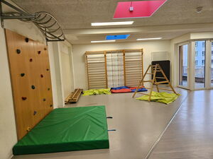 Raum mit Kletterelementen. Boulderwand links, Sprossenwand in hintere Bereich des Raums.