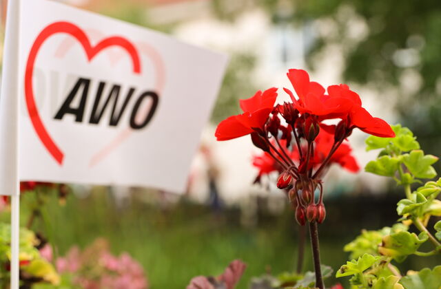 Hier sehen sie ein AWO Fähnchen mit einer Blume