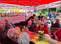 Besuch beim Seniorentag der Blütenstadt Werder 40Havel41