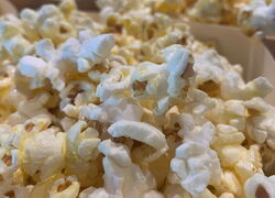 Lass es flimmern  Kino für Familien