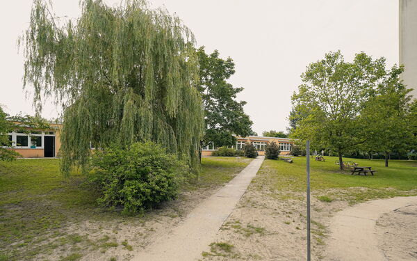 Draußen, ein Weg führt zu einem flachen langen Gebäude, Bäume und Sträucher und Wiese.