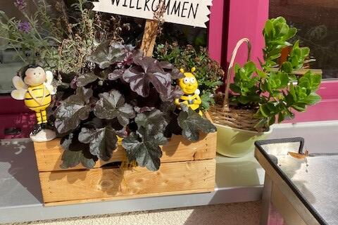 Blumen auf einem Fensterbrett mit dem Schild: Herzlich Wilkommen