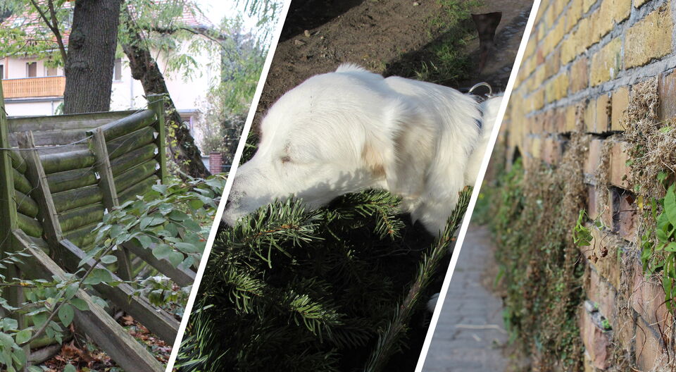 Virtuelle Ausstellung: Ein besonderes Leben