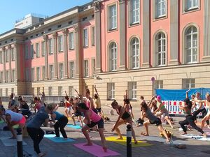 Viele Menschen, größtenteils Frauen in Sportbekleidung. Sie machen Yoga Übungen auf Yoga-Matten. Draußen, Sonne scheint.