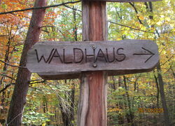 Ausflug in die Waldschule