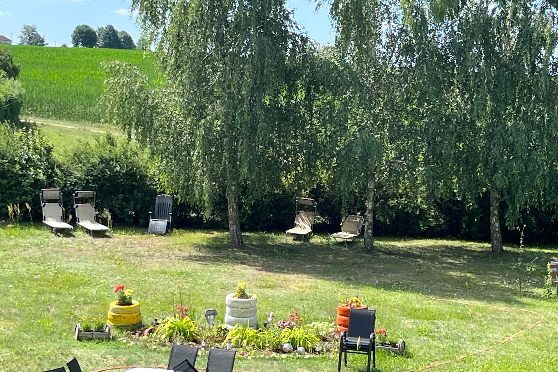 Draußen, Wiese, drei Bäue spenden Schatten an einem sonnigen Tag. Liegestühle stehen auf der Wiese. In der Mitte ein Blumenbeet.
