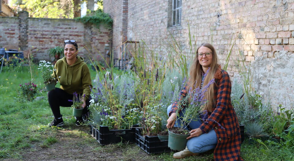 Hunderte Stauden und Gräser gespendet
