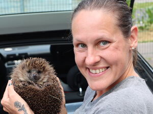 Eine Frau hält einen Igel in beiden Händen hoch. Sie steht seitlich vor einem Kofferraum in dem eine Kiste steht. Sie lächelt fröhlich in die Kamera.