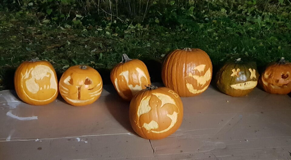 Gruselige Kürbisse