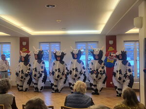 Kuhballett der Prinzengarde. 6 Personen in Kuhkostümen. Mann sprich in ein Mikro. Publikum.
