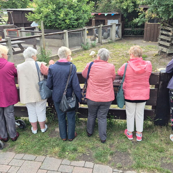 6 Frauen, eine links mit Rollator, schauen über einen Holzzaun in den Gehege. Von hinten fotografiert.