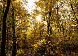 Neugründung Selbsthilfegruppe Epilepsie