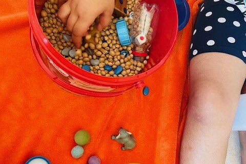 Eine Kinderhand greift in einen roten Eimer mit Kirschkernen und diversen Kleinteilen u.a. ein Würfel, Therabeans und einer kleinen Flasche. Neben dem Eimer liegt eine Koala-Firgur, kleine Filzkugeln sowie eine kleine Schale mit weiteren Therabeans.