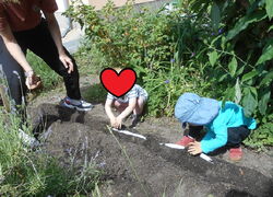 Kräutergarten