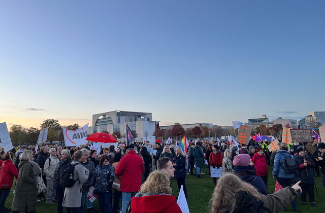 Rund 3000 Demonstrierende auf einer Wiese. AWO Fahnen, Regenbogen Fahne und viele Plakate werden erhoben.