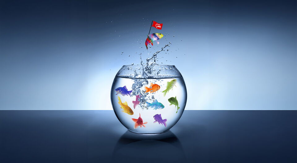 Geplanter Besuch israelischer Delegation in Potsdam abgesagt