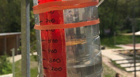 Wassersammler für durstige Straßenbäume