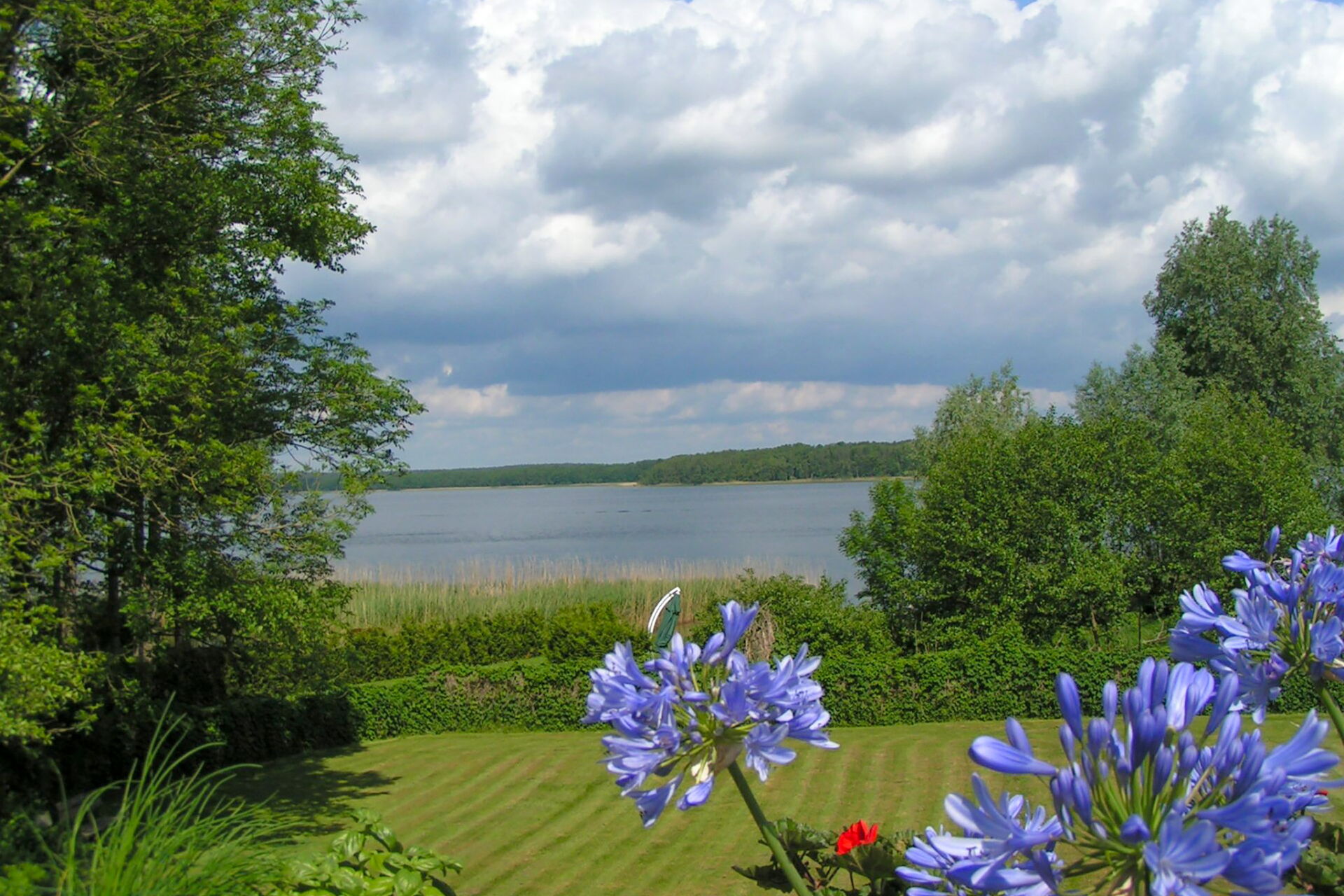 Blick auf einen See. Viel grün Wiese, Büsche, Streucher, auch am anderen Ufer gegenüber ist es grün. Im Vordergrund Blumenblüten,