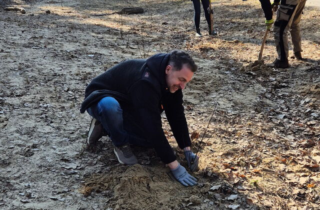Mann pflanzt einen Setzling in den Waldboden. 2 weitere Personen mit Spaten graben. Die Sonne scheint.