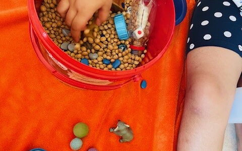Eine Kinderhand greift in einen roten Eimer mit Kirschkernen und diversen Kleinteilen u.a. ein Würfel, Therabeans und einer kleinen Flasche. Neben dem Eimer liegt eine Koala-Firgur, kleine Filzkugeln sowie eine kleine Schale mit weiteren Therabeans.