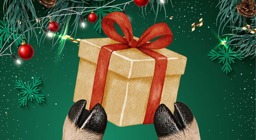 grüner weihnachtlicher Hintergrund. In die Mitte wird ein Geschenk mit roter Schleife gehalten.
